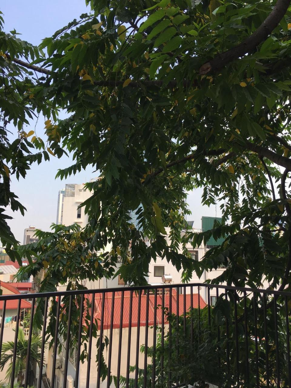 Palmo Hotel & Apartment 2 Hanoi Bagian luar foto